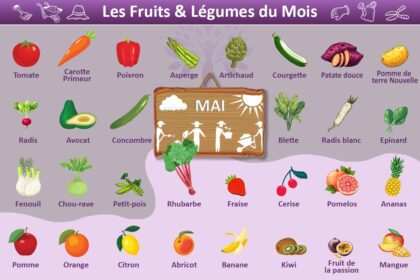 Tableau illustrant les fruits et légumes du mois de mai, avec des représentations visuelles sous forme de dessins pour chaque produit. Cette présentation colorée offre une vue d'ensemble des options disponibles ce mois-ci, aidant à identifier et à apprécier la diversité des produits de saison.