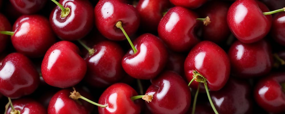 Gros plan sur des cerises, aux teintes rouges vives et à la peau lisse et brillante. Leur apparence juteuse et leur pédoncule vert mettent en valeur la fraîcheur et la douceur de ces fruits estivaux, parfaits pour des collations et des desserts.