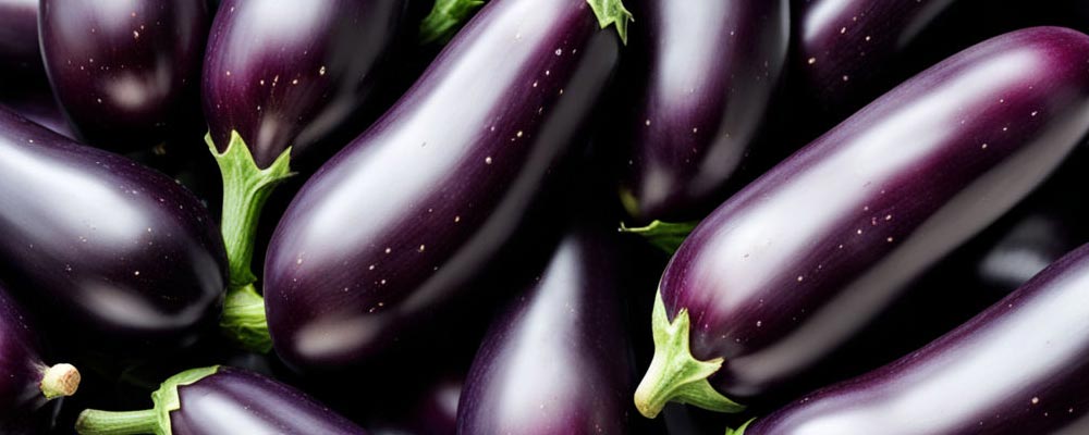 Gros plan sur des aubergine d'une violet profond et brillant avec leur collerette d'un vert vif