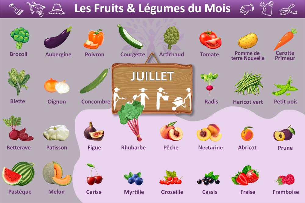 Tableau des fruits et légumes du mois de juillet