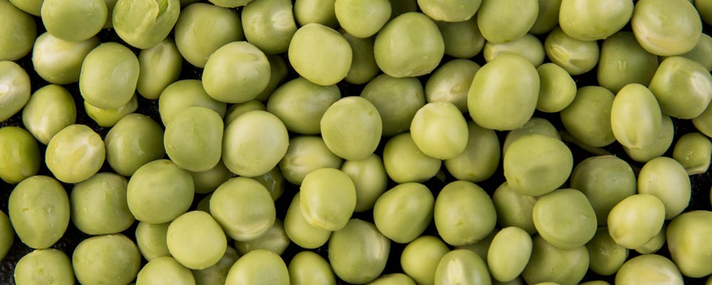 Gros plan sur des petits pois décossés, sans leurs cosses, aux teintes vertes vives. Leur texture lisse et ronde illustre la fraîcheur et la douceur de ces légumes, parfaits pour des plats estivaux légers et nutritifs.