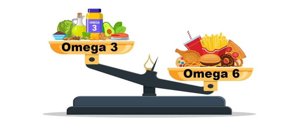 Illustration d’une balance déséquilibrée entre les Oméga 3 et les Oméga 6, mettant en avant l’impact d’une alimentation trop riche en graisses inflammatoires issues des aliments ultra-transformés. Le plateau des Oméga 3, avec des poissons gras, de l’huile d’olive, des avocats et des noix, est plus léger, alors que le plateau des Oméga 6 (frites, burger, pizza, beignets) pèse beaucoup plus lourd. 